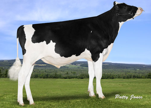 BoldiEagle15
