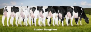 control daughters