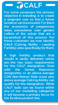 calf2