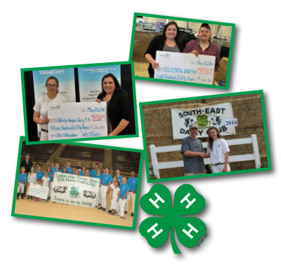 4 H spring 2016