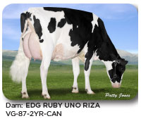 EDG RUBY UNO RIZA
