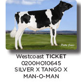 ticket
