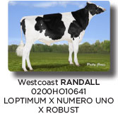 randall