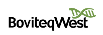 BW Logo