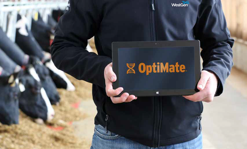 Optimate_screen_jacket