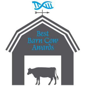 best barn cow awards