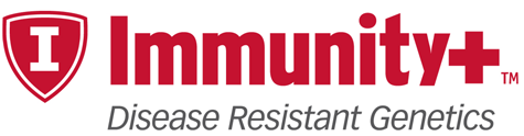 immunity logo