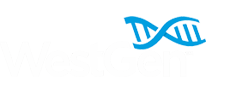 WestGen Logo