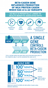 A2A2-infographic1