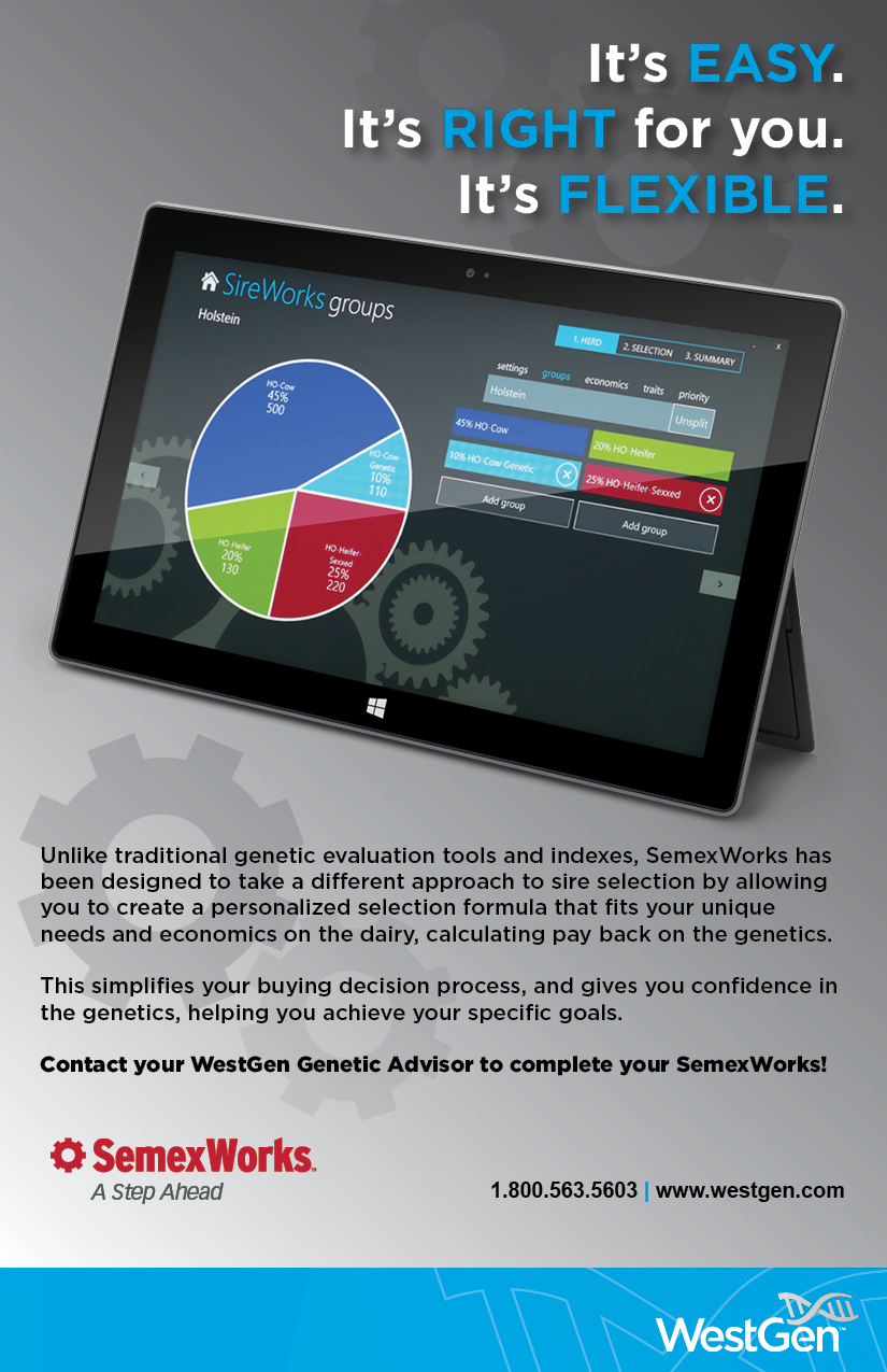 Semex Works Ad