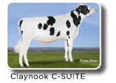 Claynook_C-Suite