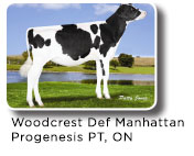 Woodcrest-Def-Manhattan