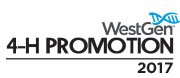WESTGEN_4h-promo