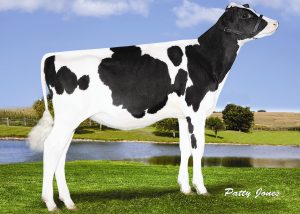 Woodcrest Def Manhattan