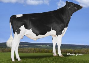 ProgenesisCameron0617-1