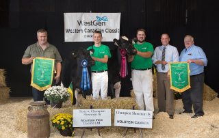Reserve & Champion Showman