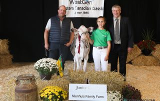 Junior Calf