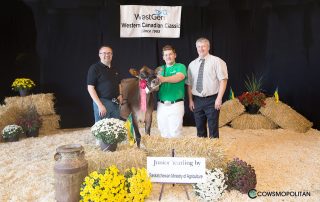 Junior Yearling