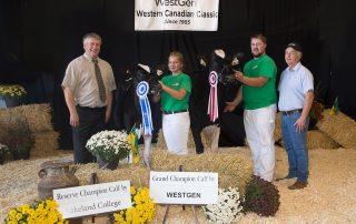 Grand Champion Calf