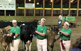 Top-3-Junior-Showmanship