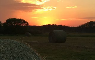 eyes of a farmers daughter view