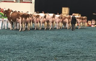 WDE 2017 2