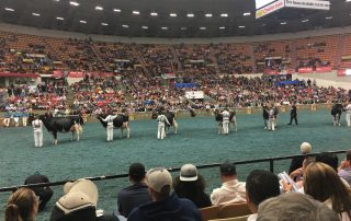 WDE 2017 5