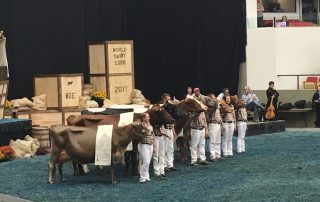 WDE 2017 8