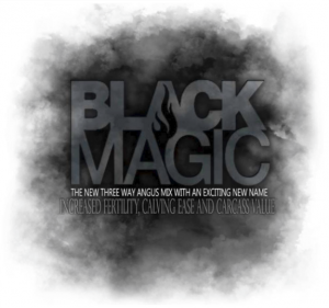 Black-Magic