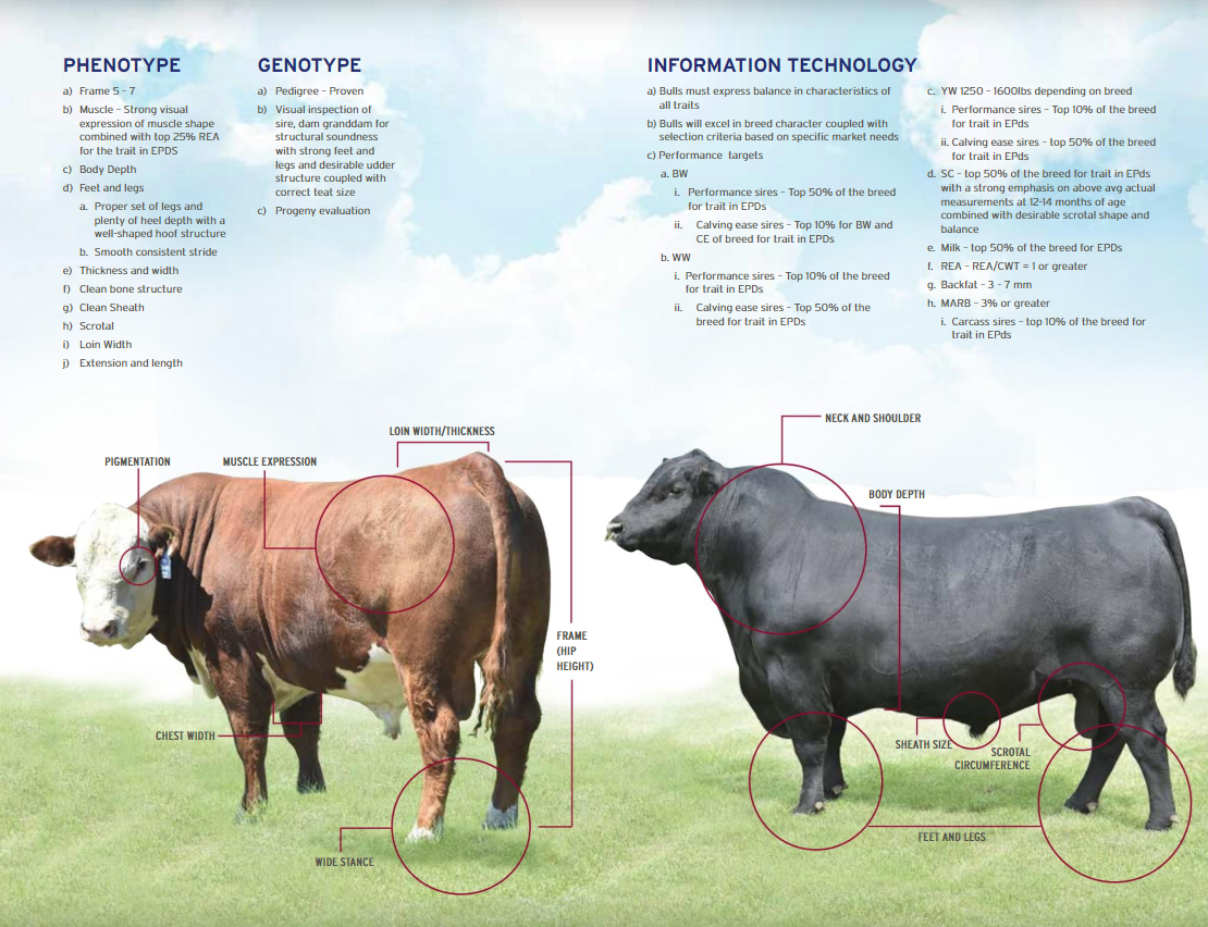 Traits-Selection