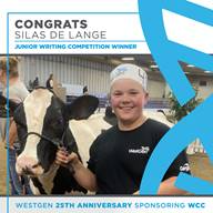 junior Winner